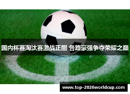国内杯赛淘汰赛激战正酣 各路豪强争夺荣耀之巅 国内杯赛淘汰赛激战正酣 各路豪强争夺荣耀之巅